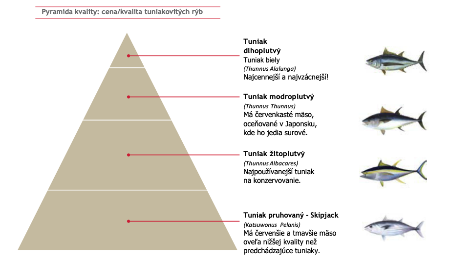 pyramida_tuniakov.png